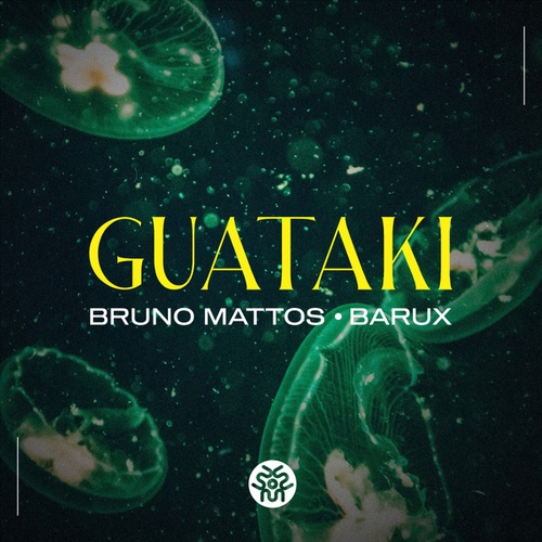 Bruno Mattos, BARUX-Guataki