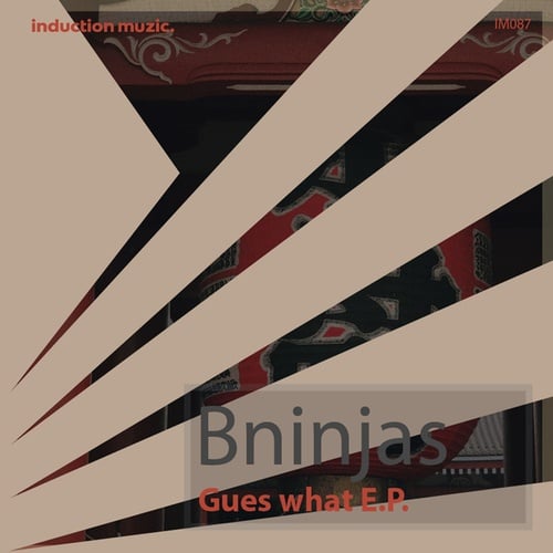 Bninjas-Gues What