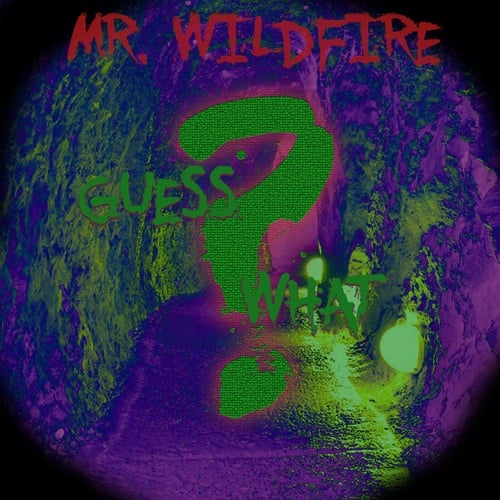 Mr.Wildfire-Guess What