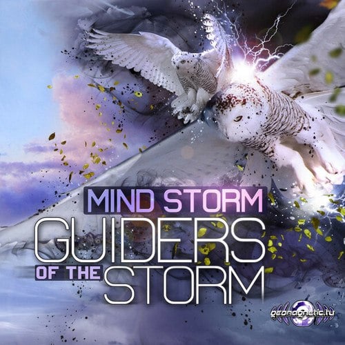 Guiders Of The Storm