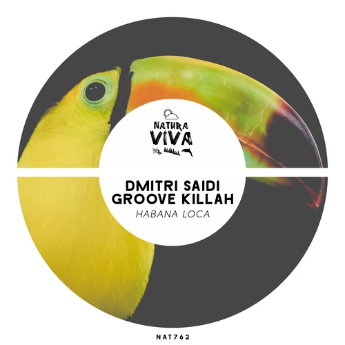 Dmitri Saidi, Groove Killah-Habana Loca