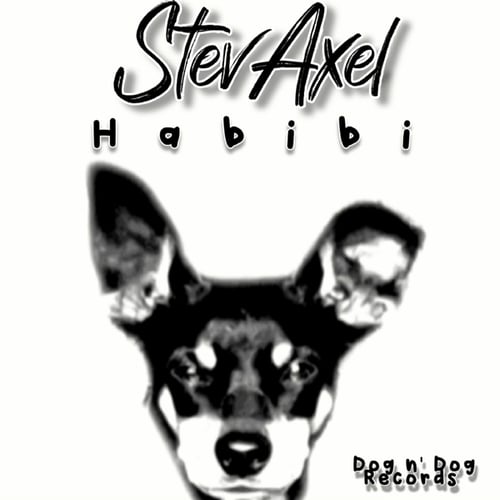 StevAxel-Habibi