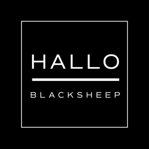 BlackSheep-Hallo