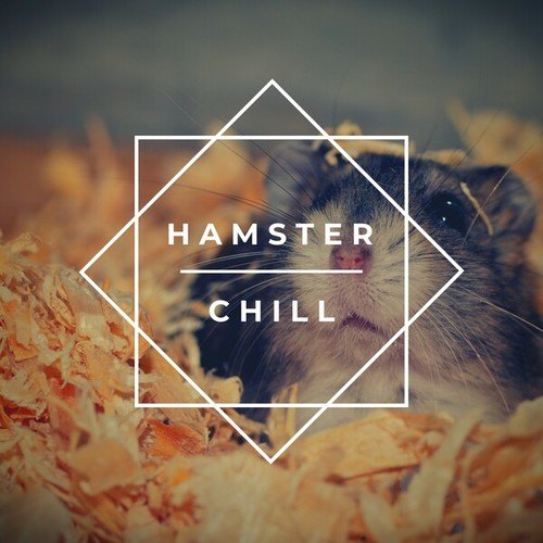 Hamster Chill