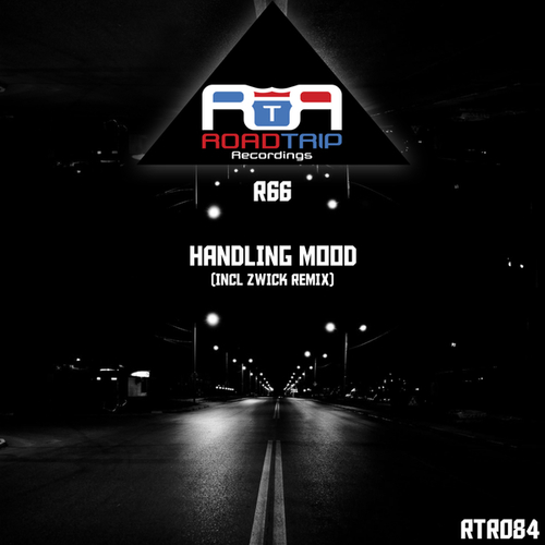 R66, Zwick-Handling Mood