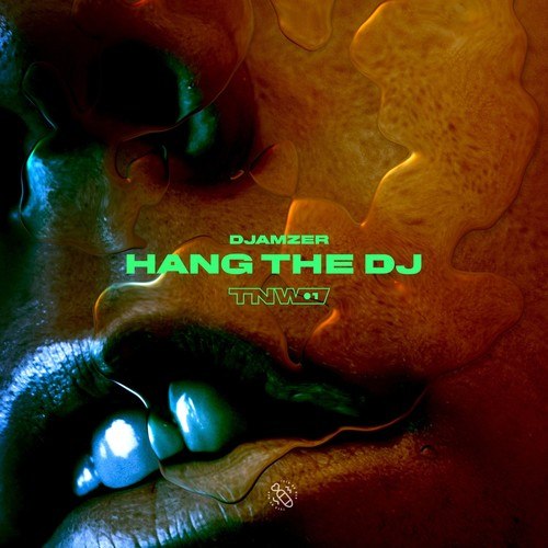 Djamzer-Hang the DJ