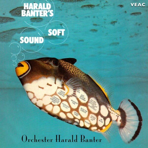 Harald Banter's Soft Sound