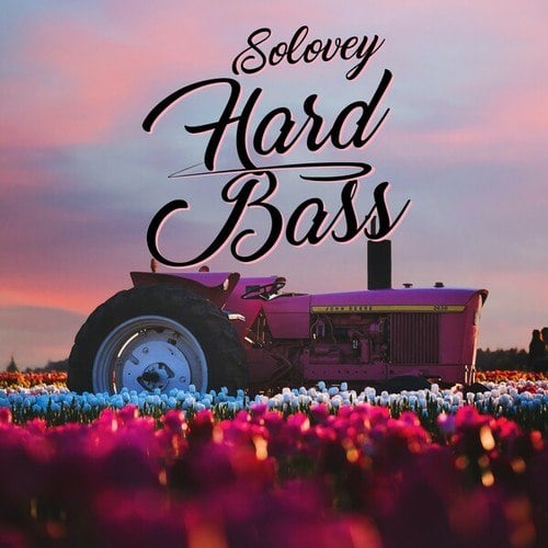 DJ Solovey-Hard Bass