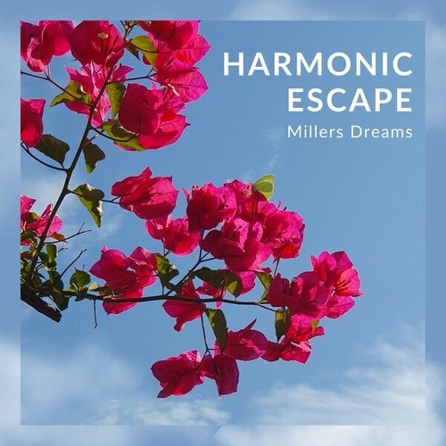 Millers Dreams-Harmonic Escape