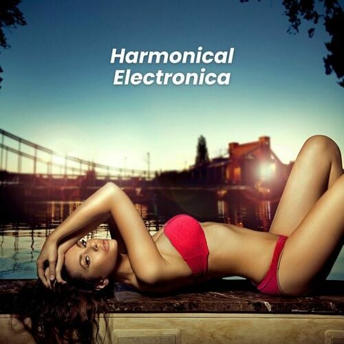 Various Artists-Harmonical Electronic
