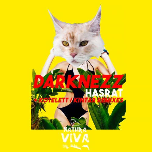 Darknezz, Kotelett, Kintar-Hasrat