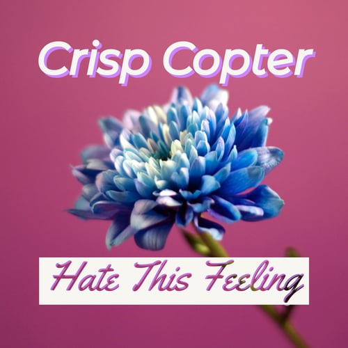 Crisp Copter-Hate This Feeling