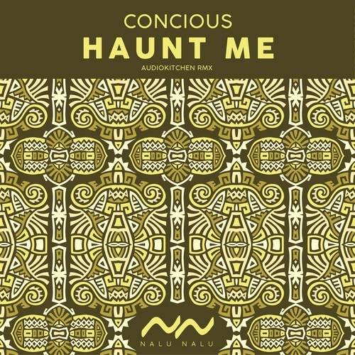 Concious, Audiokitchen-Haunt Me (Audiokitchen Remix)