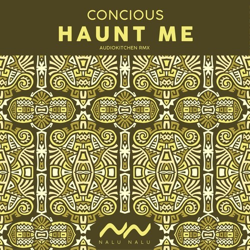 Haunt Me (Audiokitchen Remix)