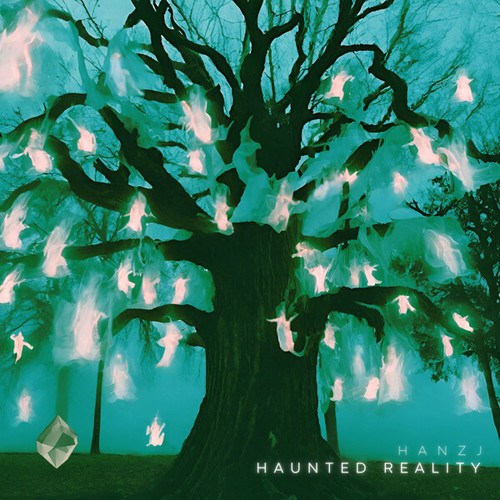 Hanzj-Haunted Reality
