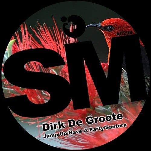 Dirk De Groote-Have a Party