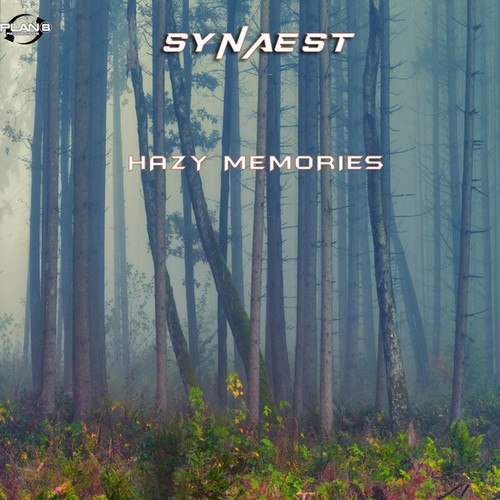 Synaest-Hazy Memories