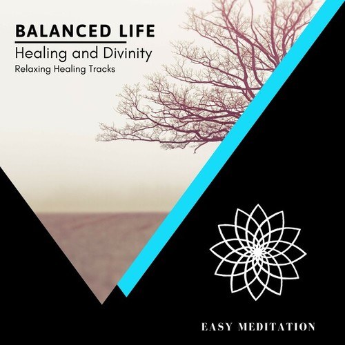 Healing and Divinity - Relaxing Healing Tracks