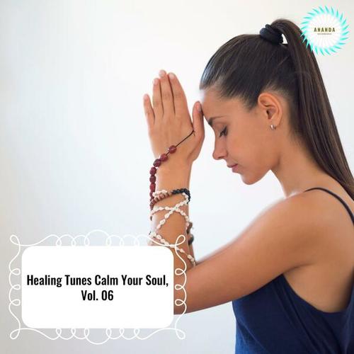 Healing Tunes Calm Your Soul, Vol. 06