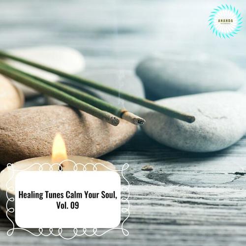 Healing Tunes Calm Your Soul, Vol. 09