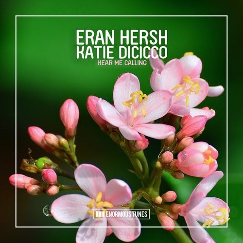 Katie DiCicco, Eran Hersh-Hear Me Calling