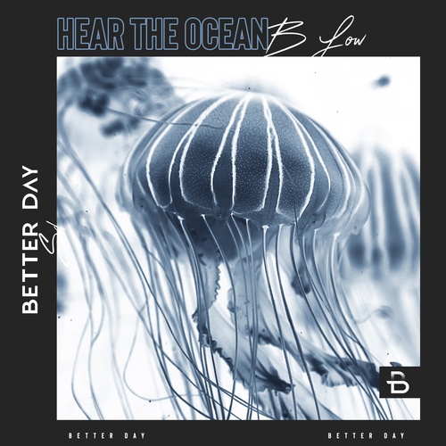 Hear the Ocean