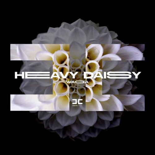 WAGA-Heavy Daisy