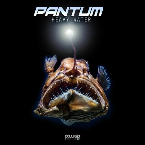 Pantum-Heavy Water