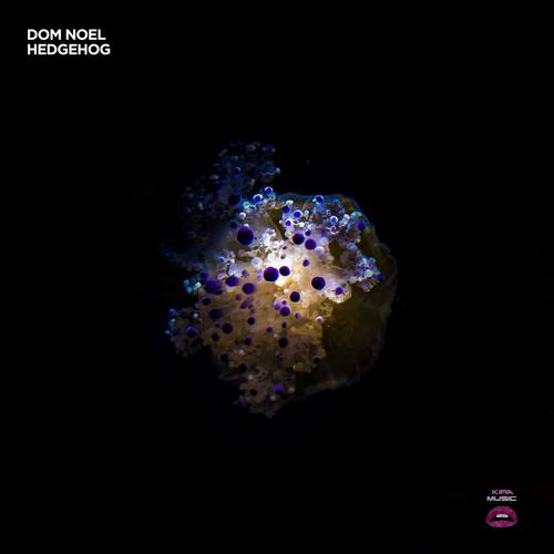 Dom Noel-Hedgehog