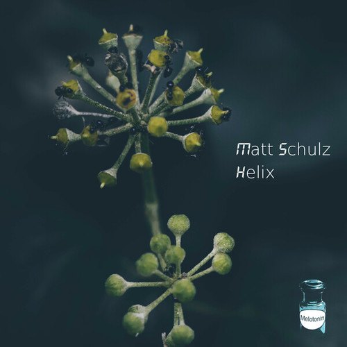 Matt Schulz-Helix