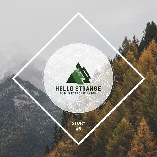 Various Artists-Hello Strange Story #6