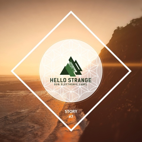 Various Artists-Hello Strange Story #7