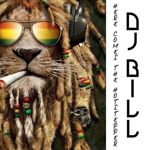 Dj Bill-Here Comes The Hotstepper