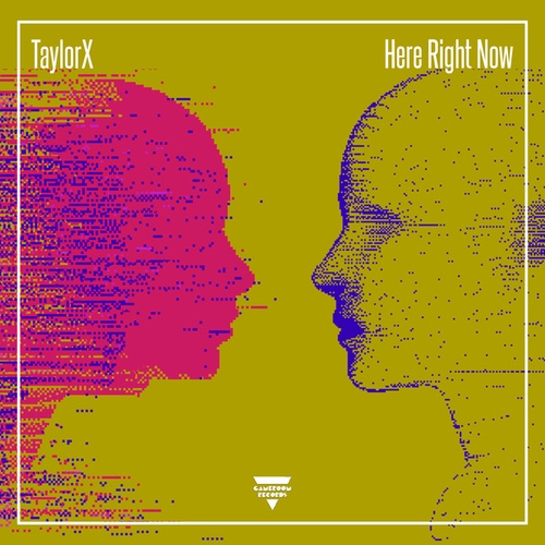 TaylorX-Here Right Now