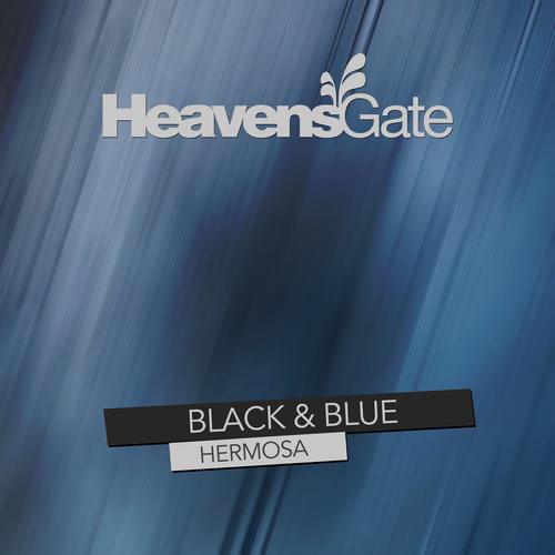 Black & Blue-Hermosa