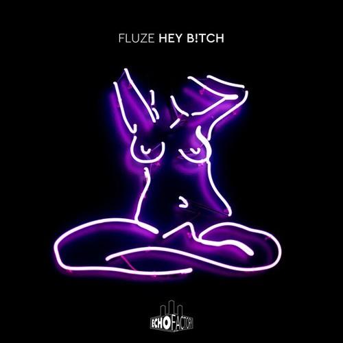 Fluze-Hey B!tch
