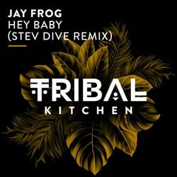 Hey Baby! (Stev Dive Extended Remix)