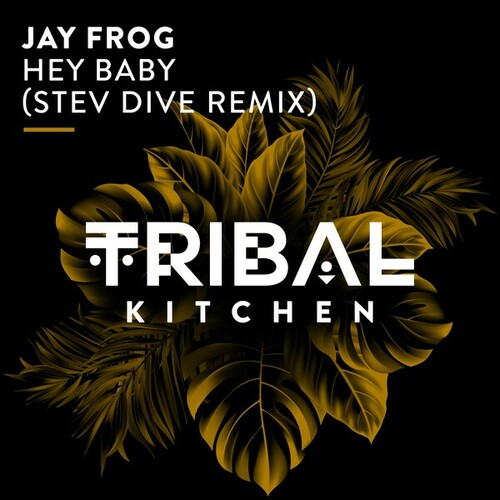 Jay Frog, Stev Dive-Hey Baby! (Stev Dive Extended Remix)