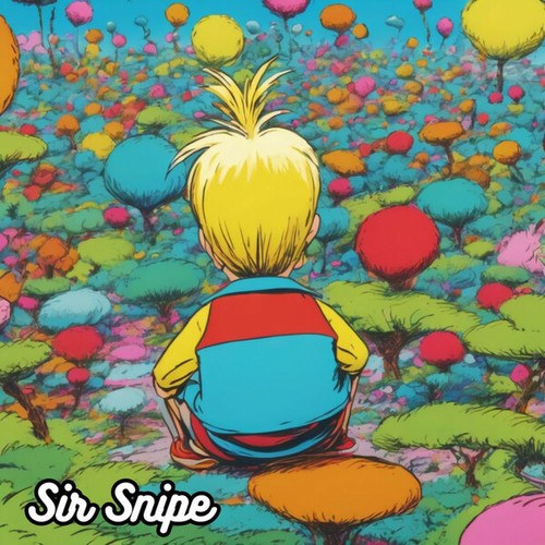 Sir Snipe-Hey