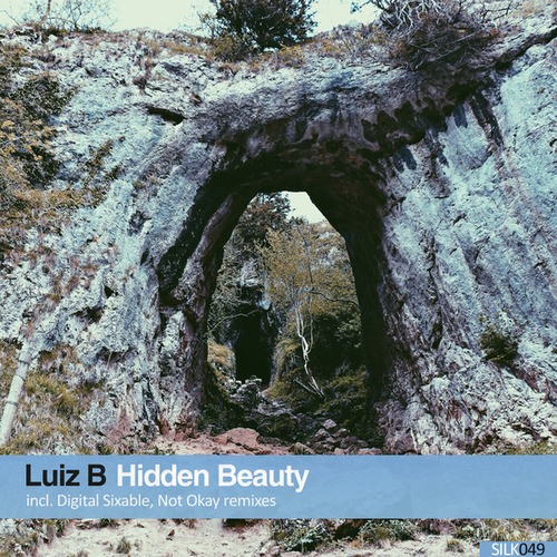 Luiz B, Not Okay, Jake Benson, Digital Sixable-Hidden Beauty