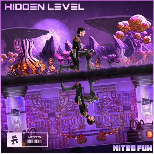 Nitro Fun-Hidden Level