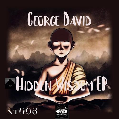 George David, Nighttripper-Hidden Wisdom EP