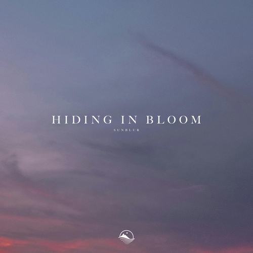 Hiding in Bloom