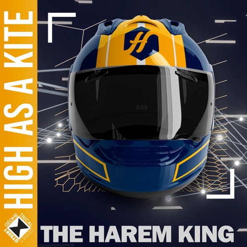 The Harem King-High As A Kite