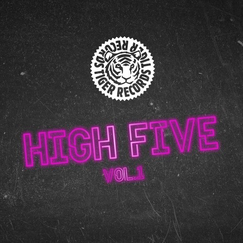 Popcorn Poppers, Alexia Nigh, Jay Frog, Hoxtones, Simon Fava, The Dukes, Ashleigh, Maiba, Andrey Exx, The BT Project-High Five, Vol. 1