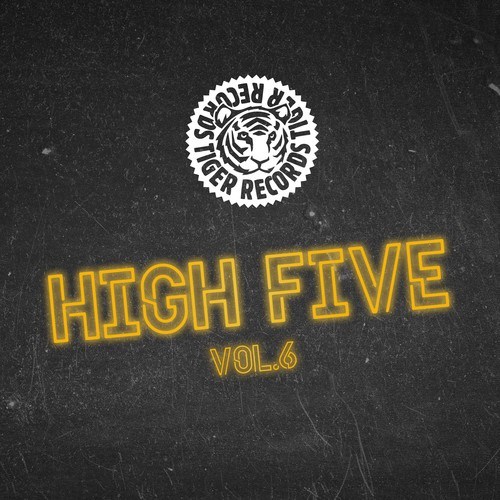 Simon Fava, Blaze & Ollen, Stereotypes, Juice! The DJ, N-ZTON, Diseptix-High Five, Vol. 6