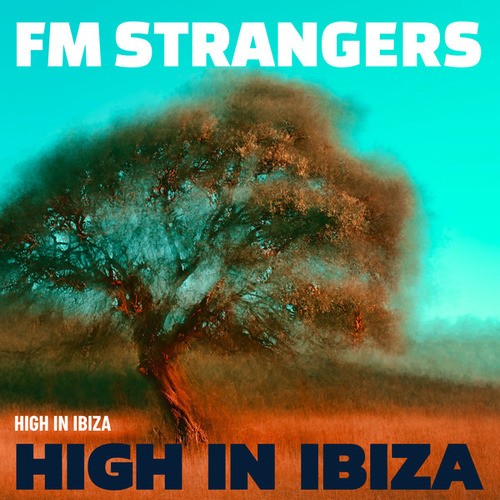 FM Strangers, Brad Grobler-High In Ibiza