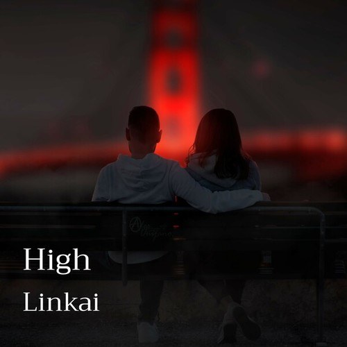 Linkai-High