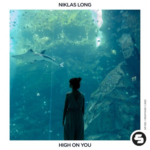 Niklas Long-High On You