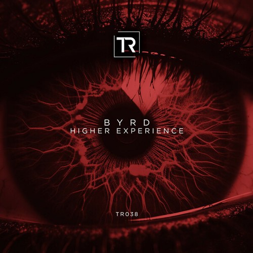 Byrd-HIGHER EXPERIENCE